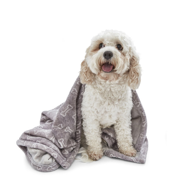 Dog Blankets For Couches Wayfair.co.uk